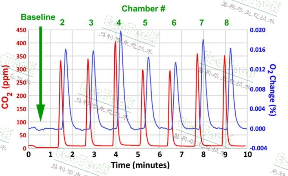 多通道昆蟲(chóng)呼吸代謝測(cè)量系統(tǒng)