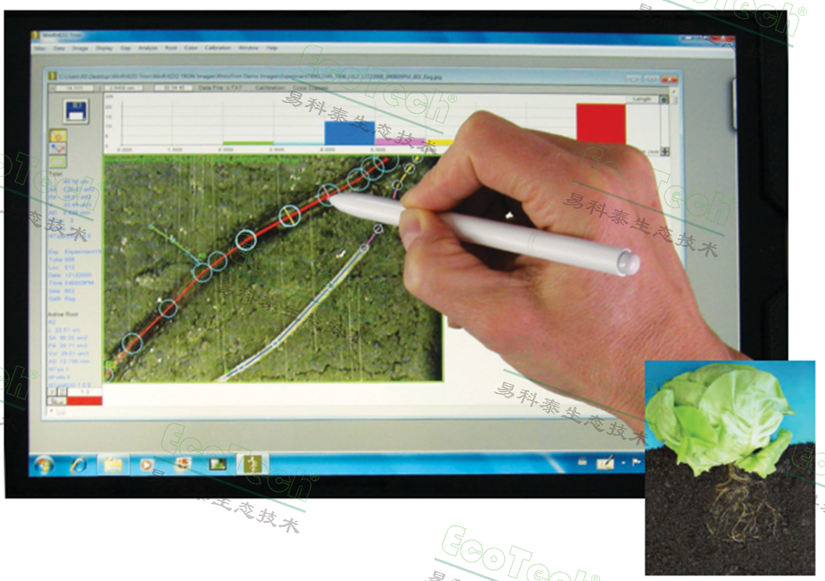 WinRHIZO Tron原位根系分析軟件