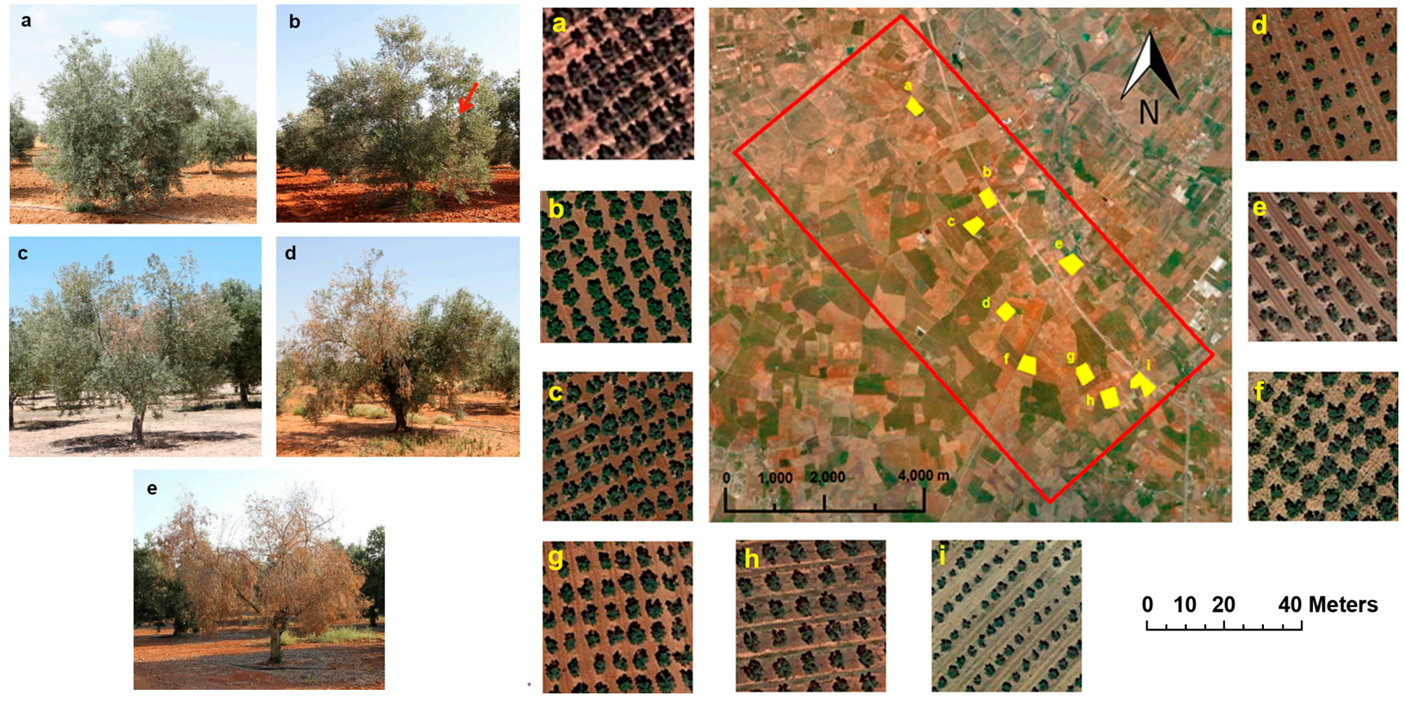 微信截圖_20211217155817.png 微信截圖_20211217155817.png