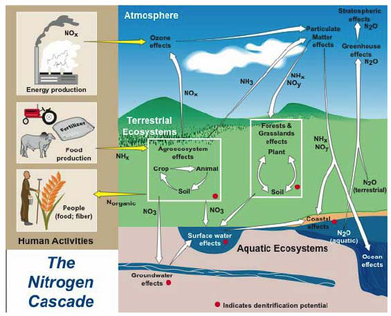 EcoTron氮沉降在線觀測系統(tǒng)