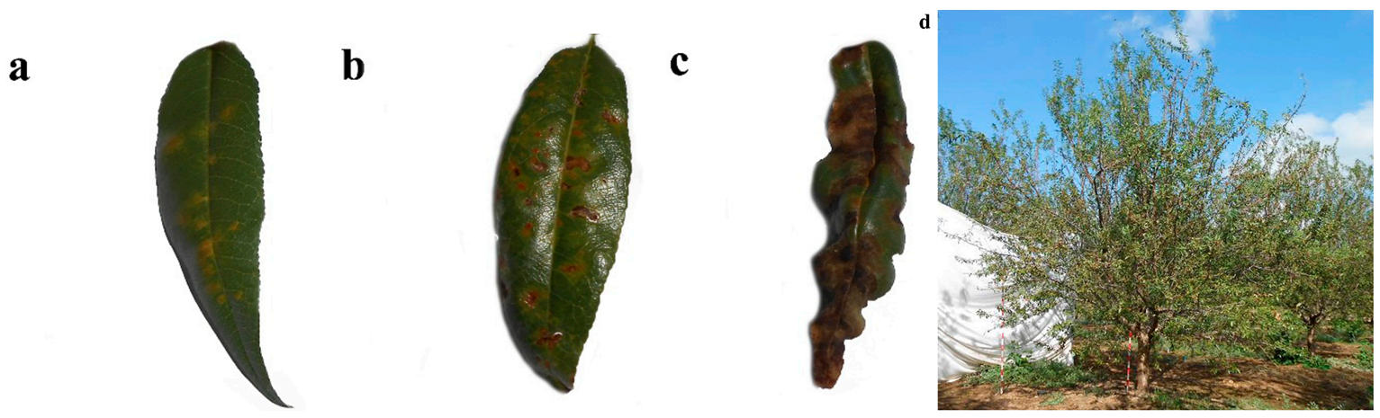 微信截圖_20211217155333.png 微信截圖_20211217155333.png